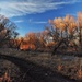 Almost sunset along Poudre River Trail by sandlily