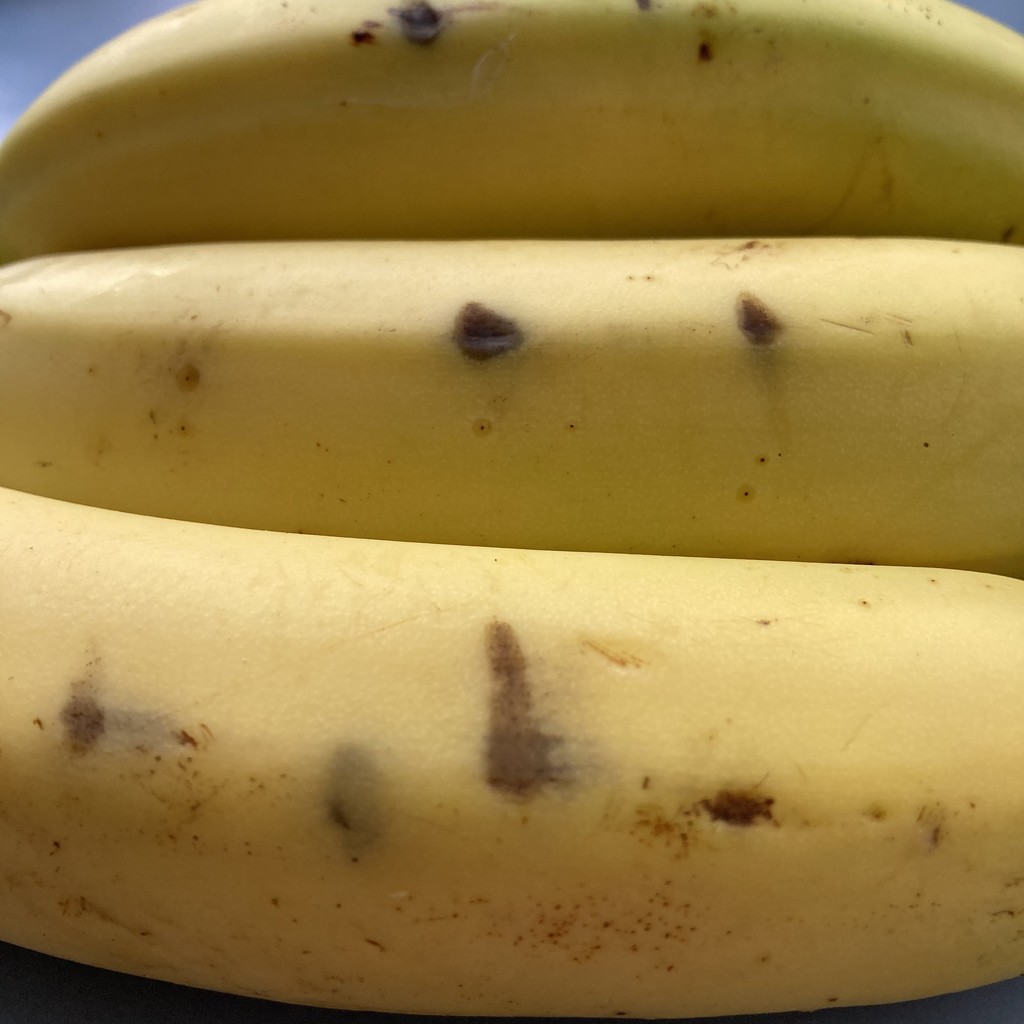 Bananas by narayani