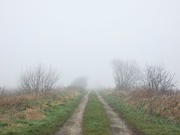 1st Mar 2021 - Into the mist
