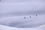 3rd Mar 2021 - Skiing uphill 