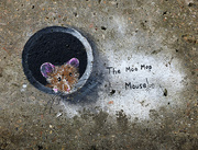 3rd Mar 2021 - Another Moo Mop Mouse!