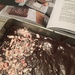 molly yeh’s mom’s peppermint schnapps brownies by wiesnerbeth