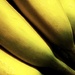 Bananas by njmom3