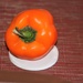 March 2: Orange Pepper by daisymiller