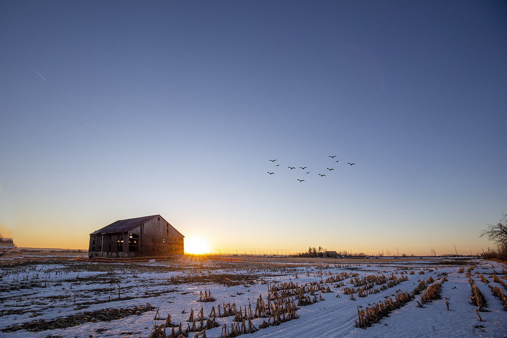Winter Sunset Barn by pdulis