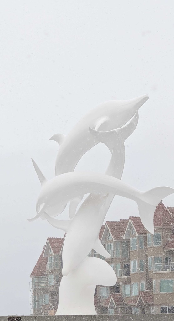 Dolphins in the Snow by gq