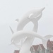 Dolphins in the Snow by gq