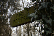 4th Mar 2021 - Which footpath shall I follow today? 
