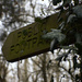 Which footpath shall I follow today?  by 365projectorglisa