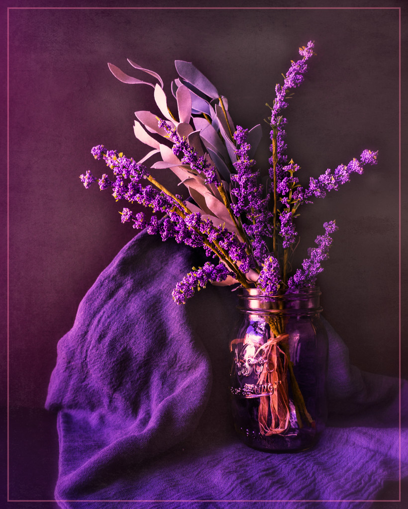 purples by jernst1779