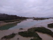 4th Mar 2021 - Looking for the Avocet