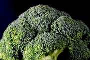 4th Mar 2021 - 🌈 Green Broccoli 