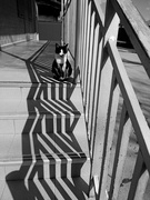 4th Mar 2021 - Весенняя геометрическая кошка