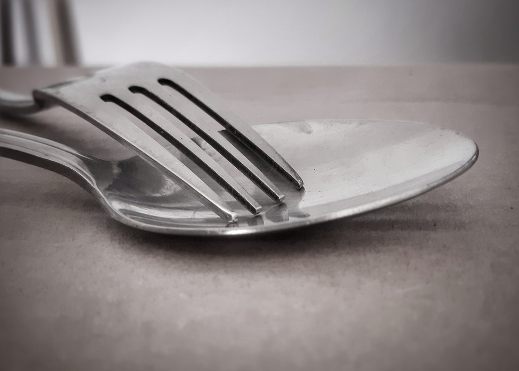 Fork and Spoon  by salza