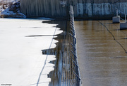 4th Mar 2021 - Water at the edge of the dam and spillway