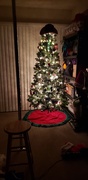 9th Dec 2019 - Tree by night