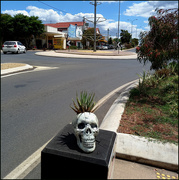 5th Mar 2021 - Here in Nanango we dying for a visit