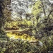 Hidden lake  by stuart46