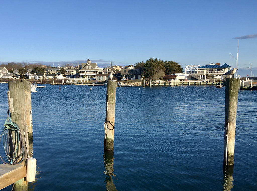 One View of Falmouth Harbor by radiodan