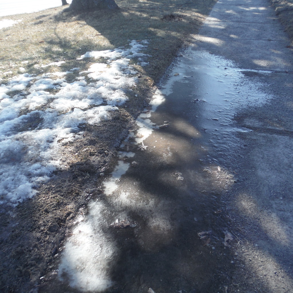 Ice #7: Another Icy Sidewalk by spanishliz