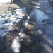 Ice #7: Another Icy Sidewalk by spanishliz