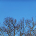 Blue Sky and Joy by linnypinny