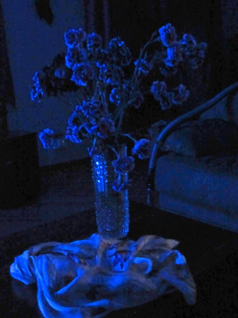 Blue light by bruni