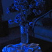 Blue light by bruni