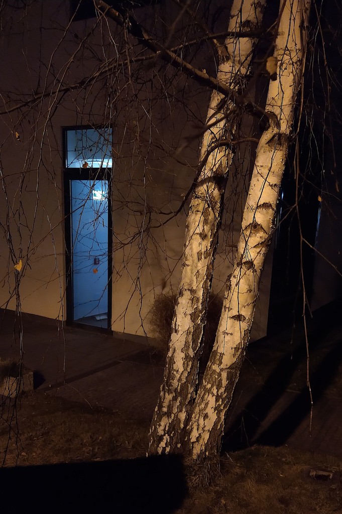 Late Evening Scene with Two Birches. by kclaire