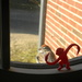 Bird and Monkey in Windowsill by sfeldphotos