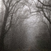 The fog... by marlboromaam