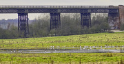 4th Mar 2021 - Bennerley Viaduct