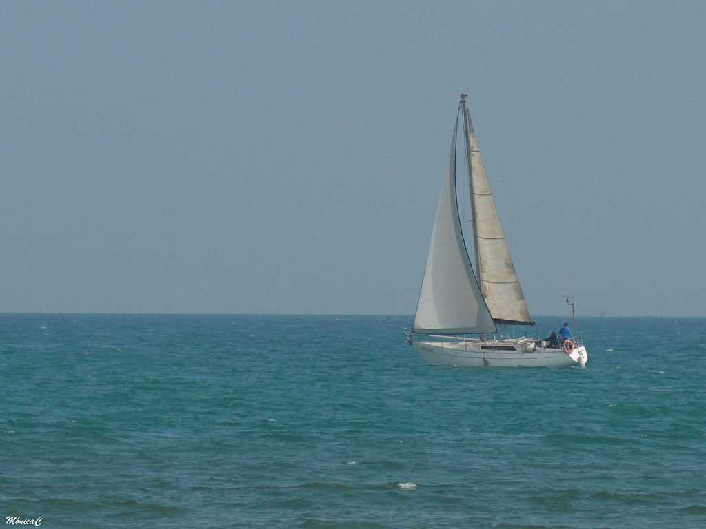 Sailing by monicac
