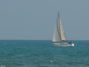 6th Mar 2021 - Sailing