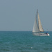Sailing by monicac
