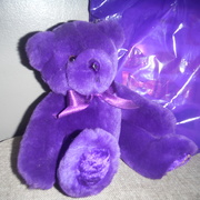 6th Mar 2021 - Purple Bear