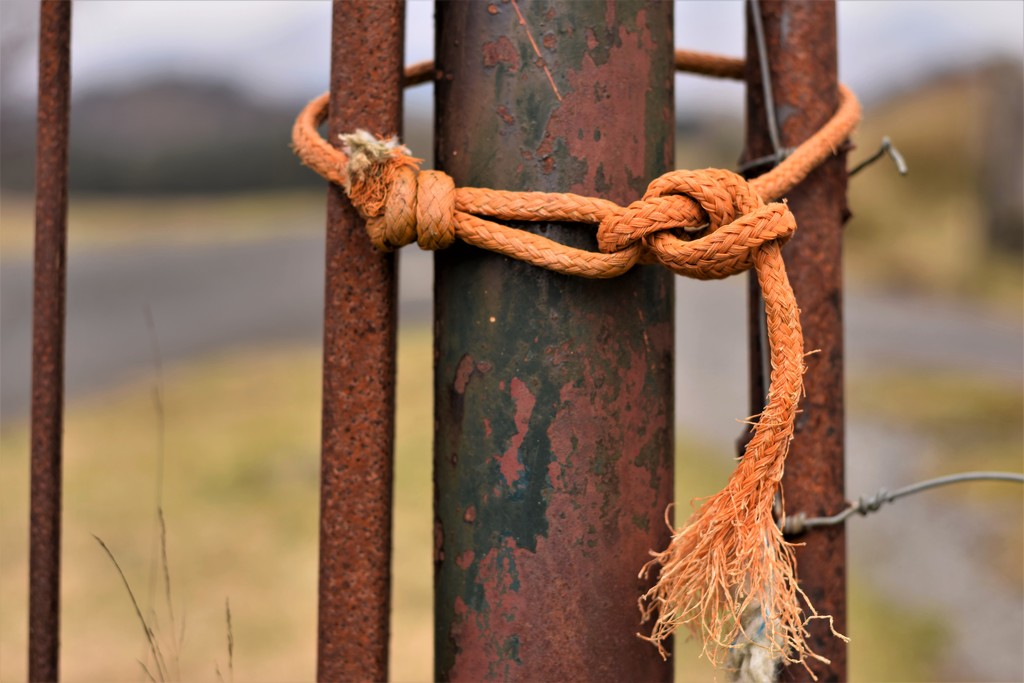 rope and rust by christophercox
