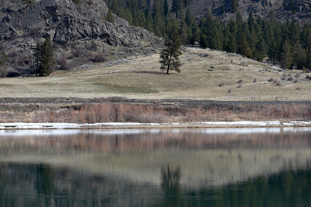 Lone Tree by bjywamer