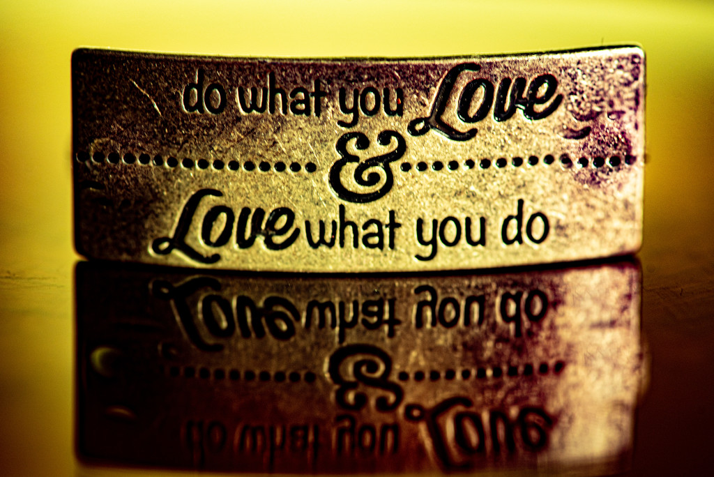 Love What You Do... 65/365 by dora