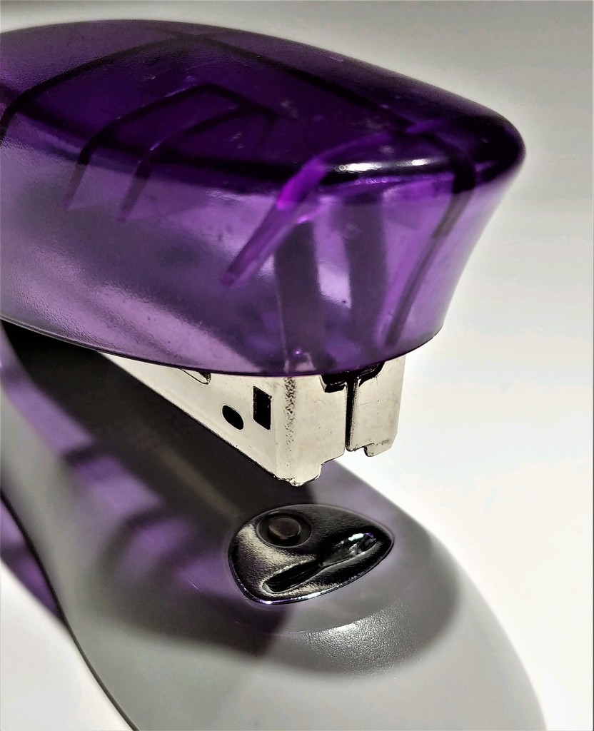 Purple Stapler  by jo38