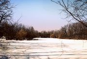 6th Mar 2021 - Frozen Pond