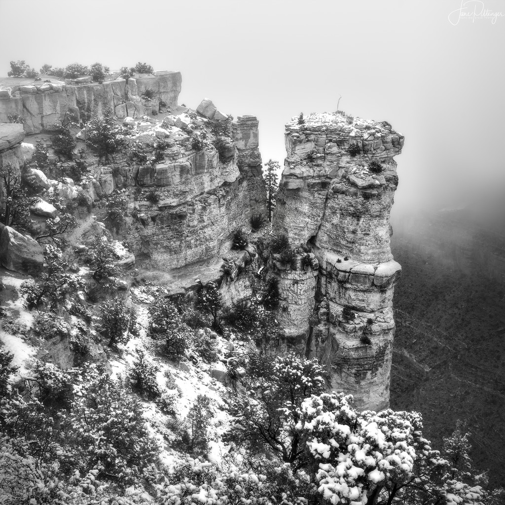 Snowy Towers In Grand Canyon  by jgpittenger