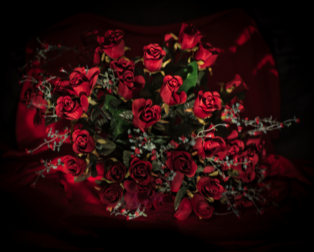 Who doesn't love red roses by suez1e