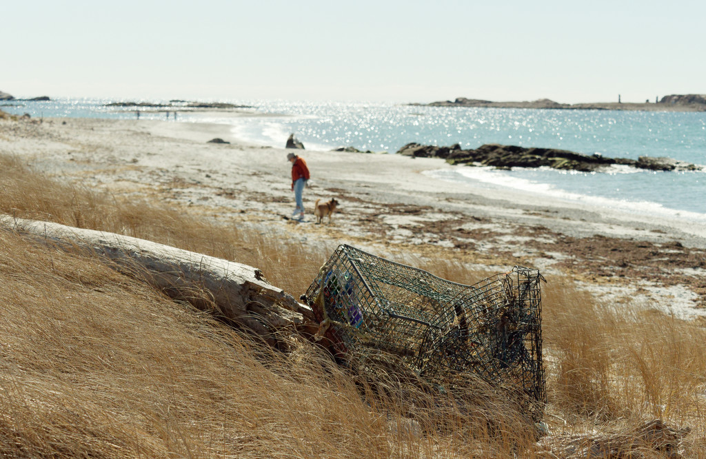 Lobster Trap by brotherone