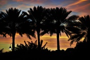 5th Mar 2021 - South Florida Sunset