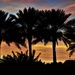 South Florida Sunset by chejja