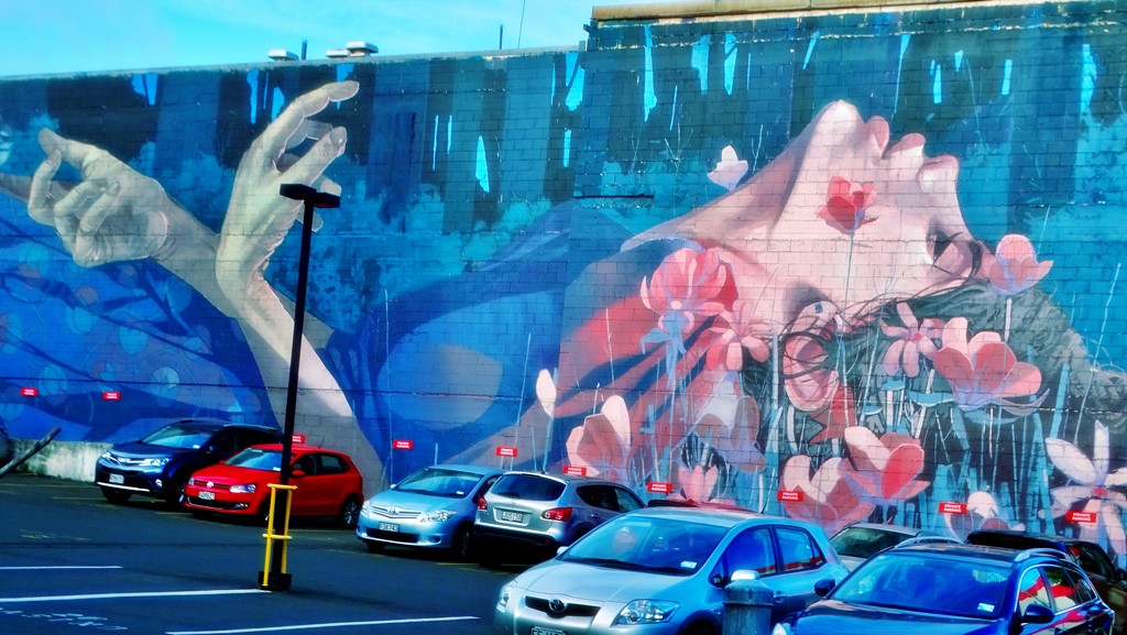 Dunedin Wall Art by maggiemae