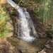 Waterfall Norwood Green by susanwade
