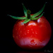 The first tomato!  by ingrid01