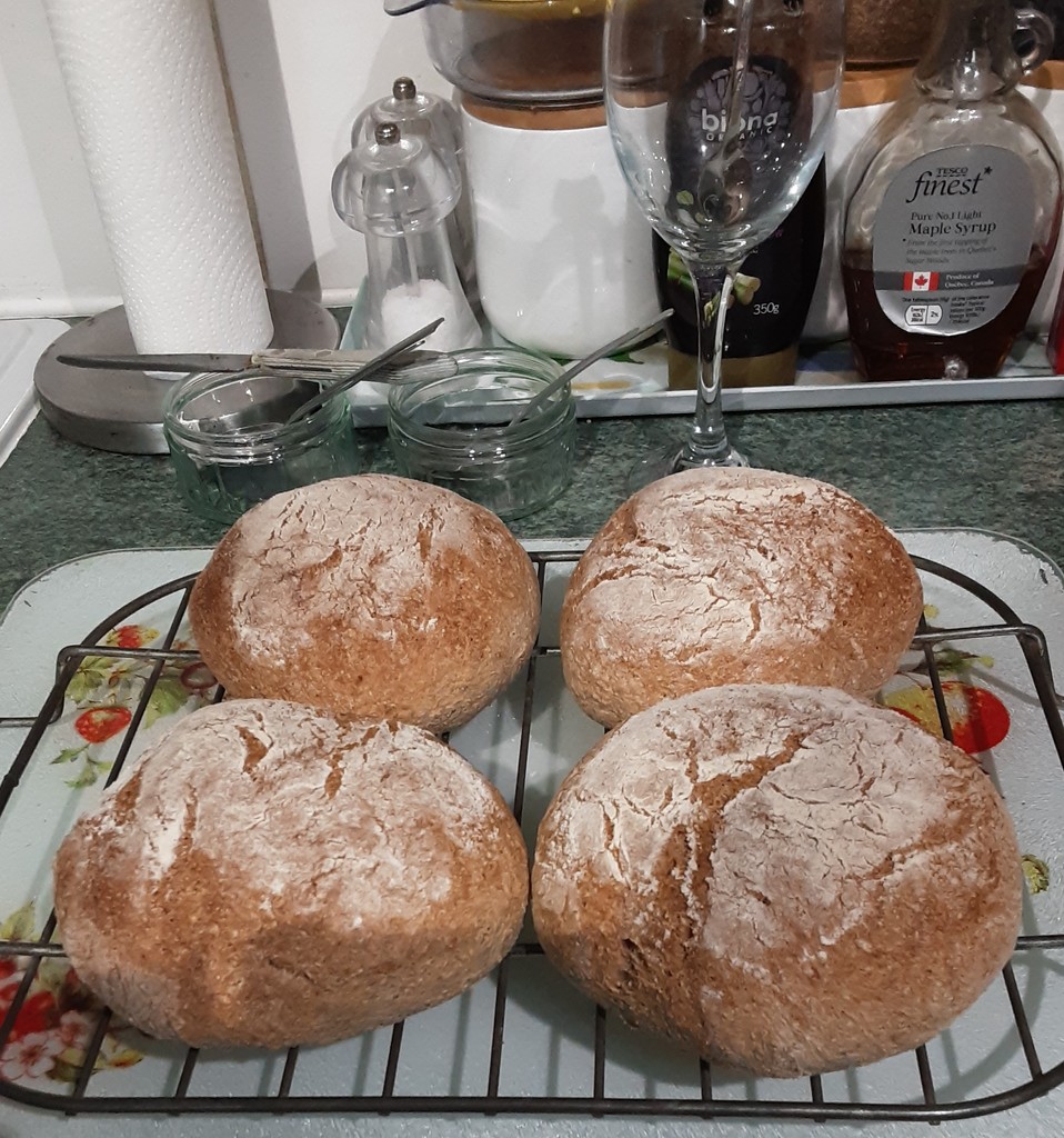 Paul's Wholewheat bread rolls. by grace55